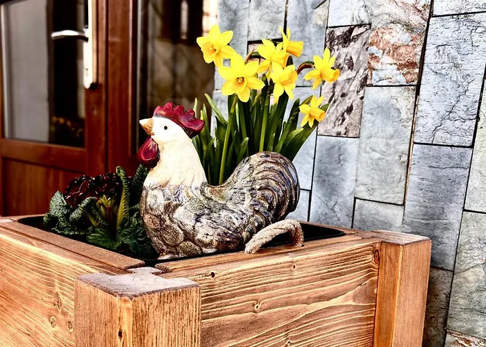 Ubytování Přimda Hostal *